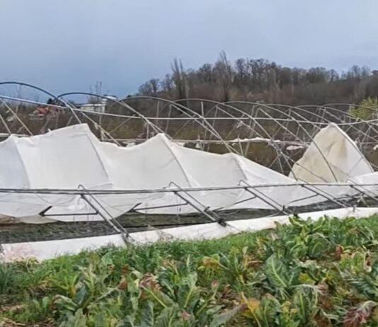 Olujno nevrijeme pogodilo Zagreb: velika šteta na OPG-ovima, među najpogođenijima OPG Novak