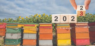 osvrt na pčelarsku godinu