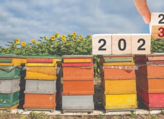 osvrt na pčelarsku godinu
