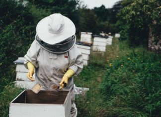 potpore pčelarima za saniranje šteta