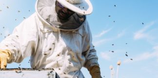 usluge gradske pčelarske službe 112 hrvatska pčelarska služba