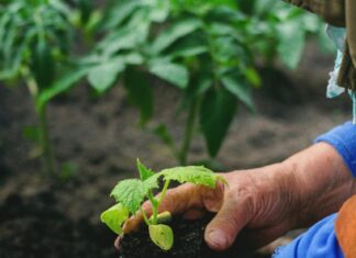 Objavljene prve izmjene 2. Natječaja za intervenciju 73.02 Obnova poljoprivrednog potencijala