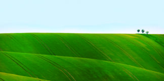 Moderno vođenje farme pomoću mobilne aplikacije Agrodox!