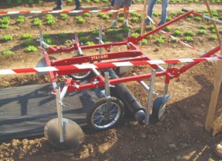 alati i stojevi za uzgoj povrća lokvina