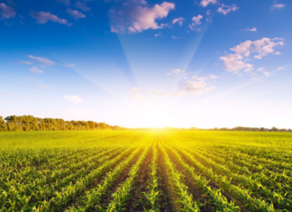 osiguranje poljoprivredne proizvodnje od suše