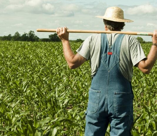 Pojedinačne potpore do 52.076