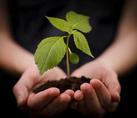 Otvoreni natječaji vrijedni 300 milijuna kuna!