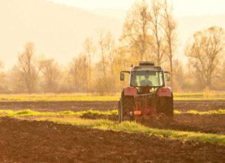 potpore za kompenzaciju rasta troškova proizvodnje u sektoru ratarstva