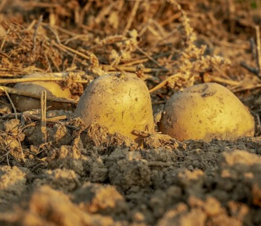 Izmjena natječaja za tip operacije 4.1.1.