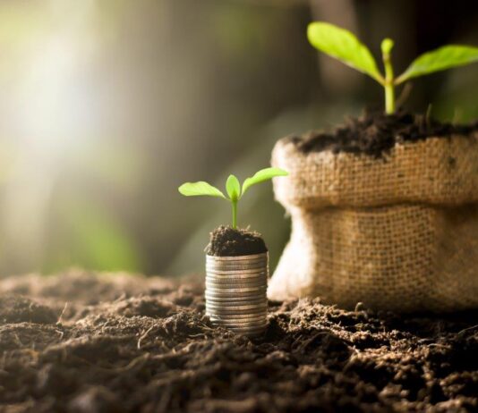 Ministarstvo zatražilo Europsku komisiju nastavak mjera pomoći poljoprivrednicima u koronakrizi Isplata prve rate potpora kreće 17. veljače