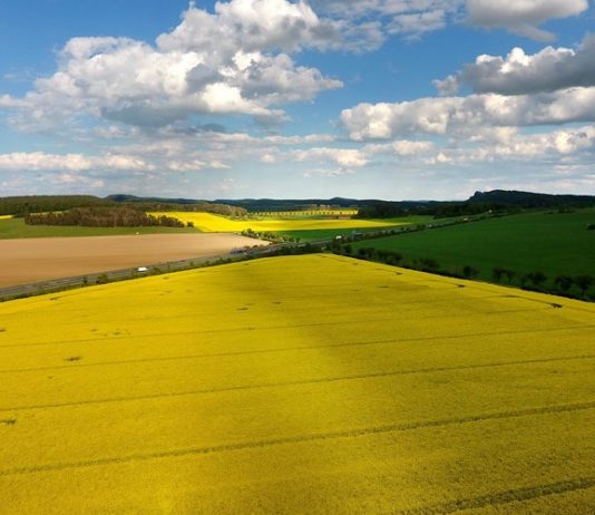 Obavijest poljoprivrednicima vezane uz isplatu avansa isplata avansa
