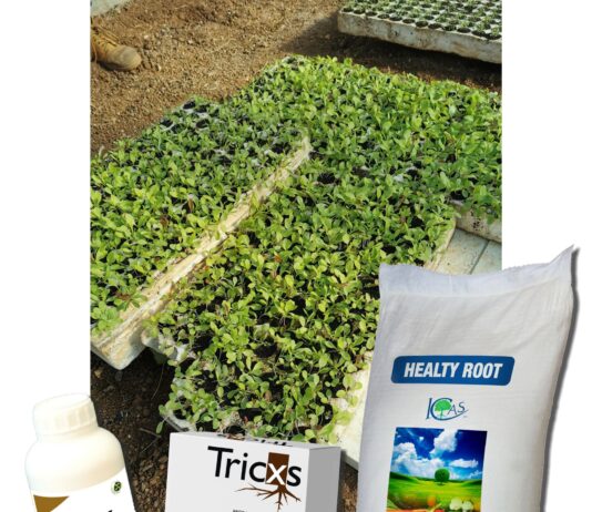 Kako na ekološki način štititi biljke u početku vegetacije?