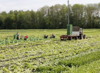 Izmjene u proizvodno vezanim potporama i potporama za iznimno osjetljive sektore