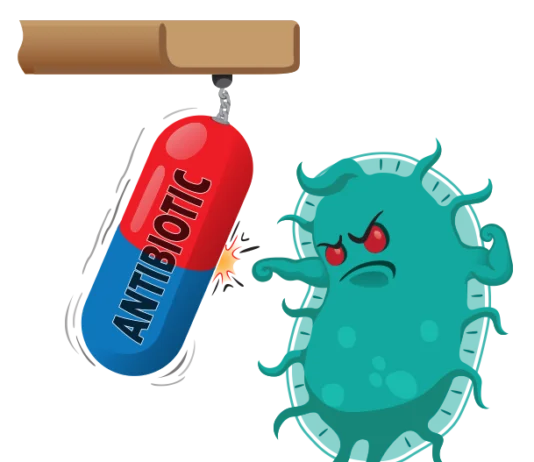 Bakterije otporne na lijekove još uvijek se pronalaze kod ljudi i životinja