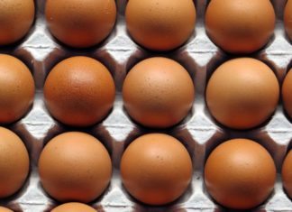 proizvodnja jaja što učiniti prije proizvodnje jaja