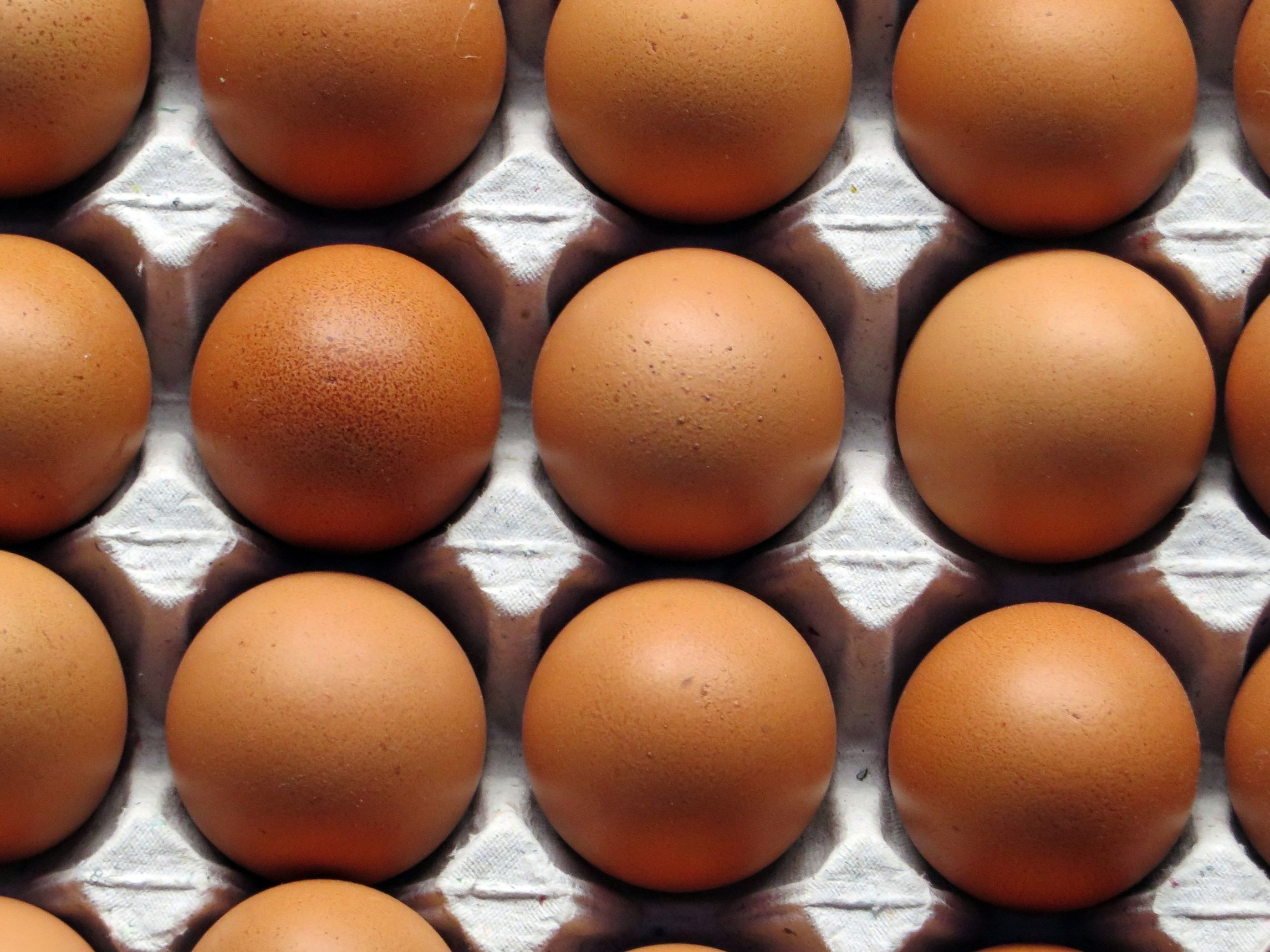 proizvodnja jaja što učiniti prije proizvodnje jaja