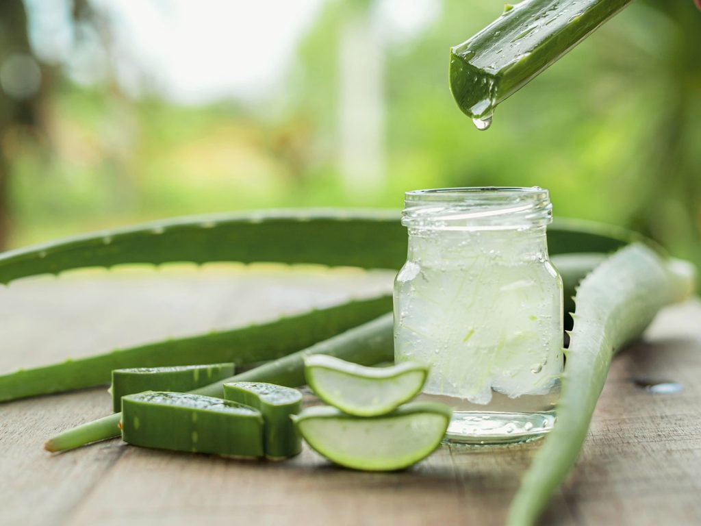 Aloja ili aloe vera za smirenje upala i jači imunološki sustav
