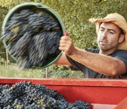 ljudski rad u poljoprivredi