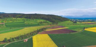 Kako se prijaviti za državnu potporu sektoru poljoprivrede i ruralnom razvoju?