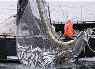 Na snagu stupio paket EU mjera pomoći za sektor ribarstva i akvakulture!