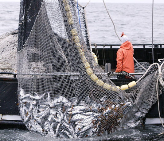 Na snagu stupio paket EU mjera pomoći za sektor ribarstva i akvakulture!