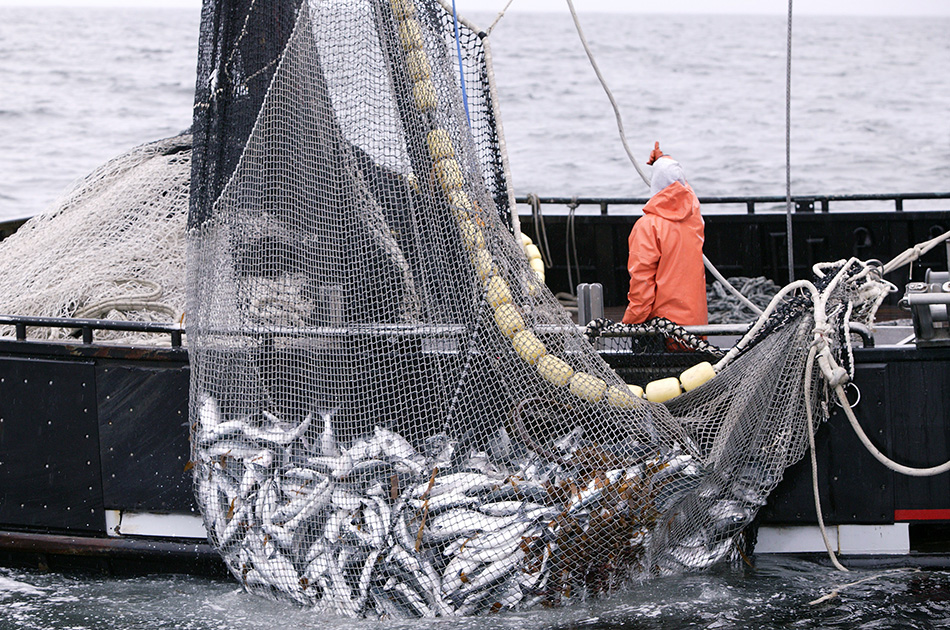 Na snagu stupio paket EU mjera pomoći za sektor ribarstva i akvakulture!