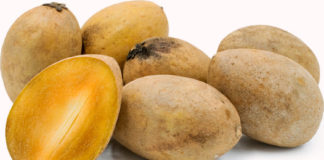 sapodilla