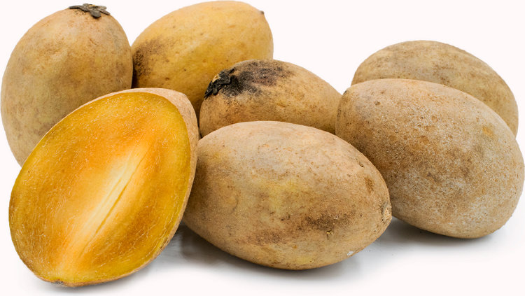 sapodilla