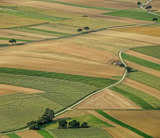 Pravo prvokupa i problem upisa u zemljišne knjige