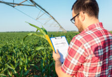 Paušalni dohodak, OPG i vođenje knjiga