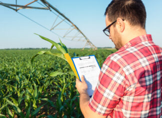 Paušalni dohodak, OPG i vođenje knjiga