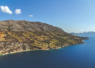 Dingač – najstarija hrvatska vinska oznaka izvornosti