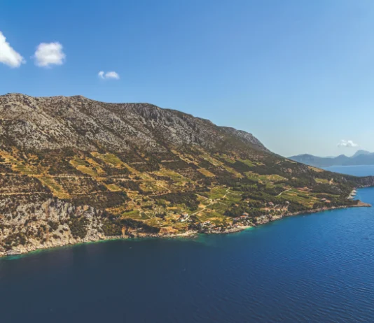 Dingač – najstarija hrvatska vinska oznaka izvornosti