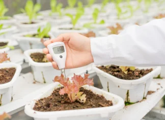 Zaslanjivanje tla u proizvodnji povrća