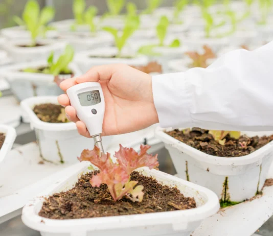 Zaslanjivanje tla u proizvodnji povrća