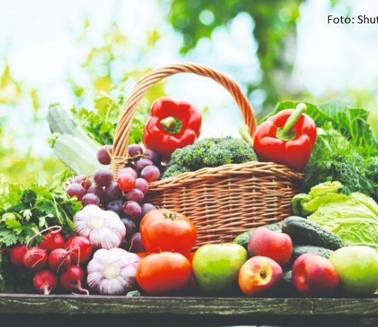 Kako pokrenuti proizvodnju voća i povrća u Hrvatskoj?