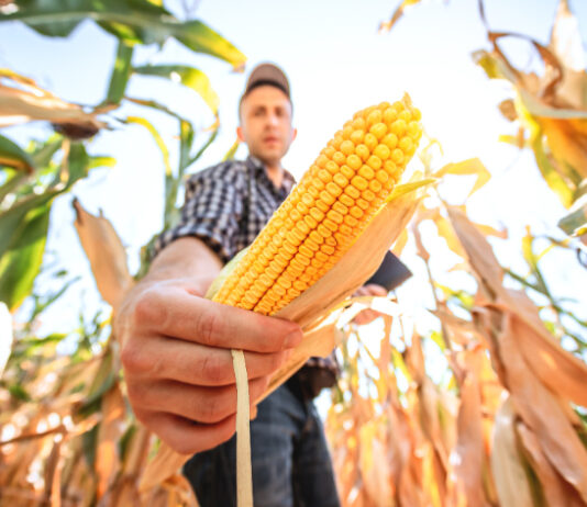 Biološka rješenja postaju moćno oruđe za poljoprivrednike
