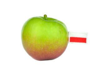 Jabuke najviše uvozimo iz Poljske