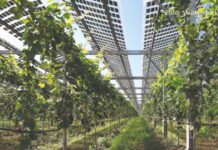 Spoj energetike i poljoprivrede privlačan slavonskim proizvođačima