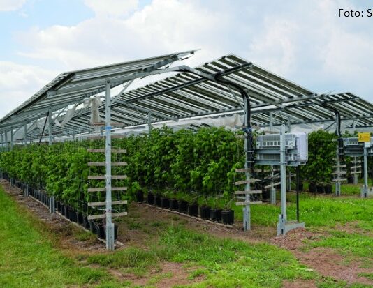 U Europi značajno raste broj agrosolara, ima interesa i u Hrvatskoj