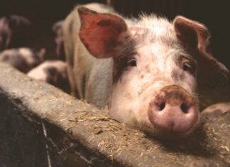 Novo rješenje o zonama ograničenja