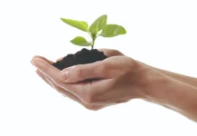 Očuvanje zdravlja bilja temelj je stabilne poljoprivredne proizvodnje