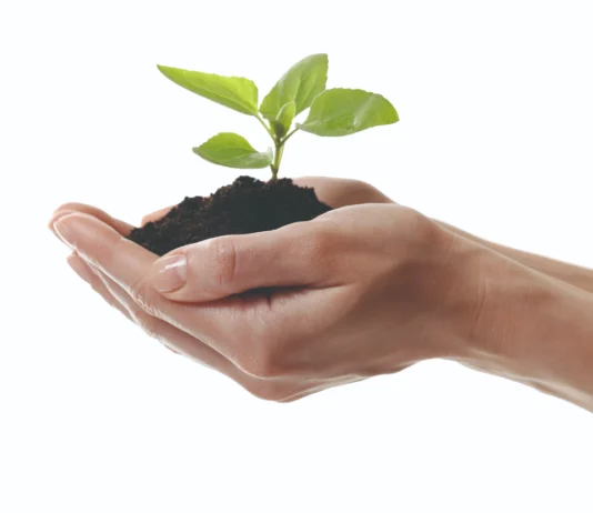 Očuvanje zdravlja bilja temelj je stabilne poljoprivredne proizvodnje