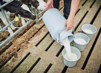 Program potpore malim mljekarama za sufinanciranje nabave opreme za sabiranje mlijeka