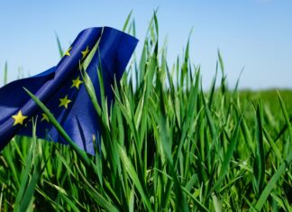 Komisija pozdravlja politički dogovor o paketu za pojednostavljenje zajedničke poljoprivredne politike