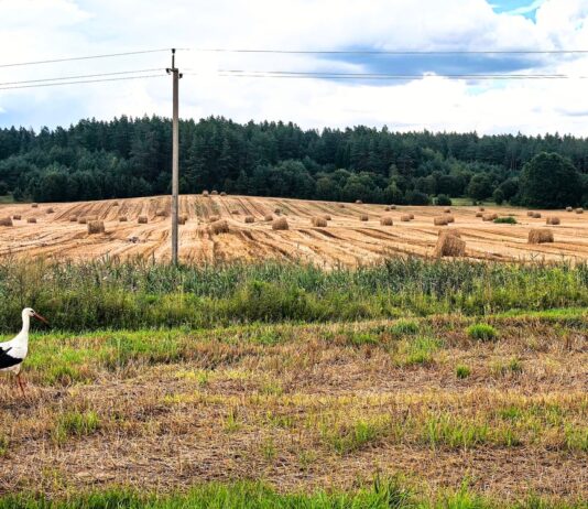 Kako spriječiti brisanje poljoprivrednog zemljišta iz ARKOD-a za koje nemate dokaze o vlasništvu ili posjedu