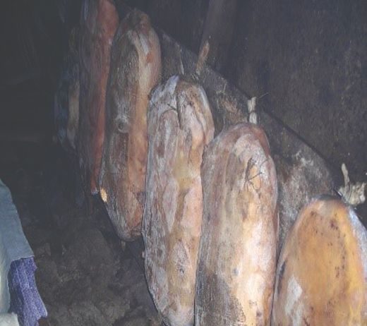 Sir iz mišine – od sirovine do sira sir iz mišine