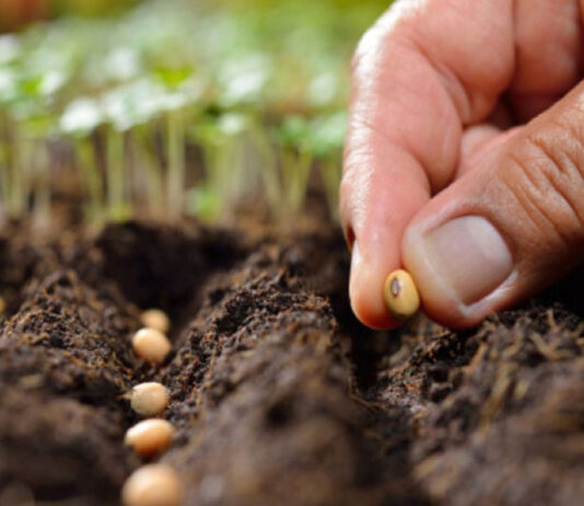 Petir primila predstavnike inicijative “sjeme je naše ljudsko pravo” Petir primila predstavnike inicijative "sjeme je naše ljudsko pravo"