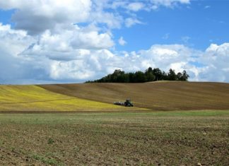 prijedlog potpore proizvođačima sjemenskog kukuruza