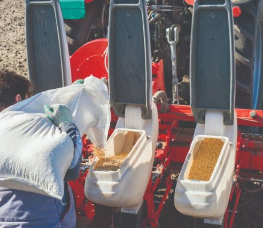 uzgoj soje sjetva soje